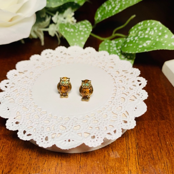 Hooting Adorable! Enamel and Crystal Owl Earrings - Picture 3 of 7